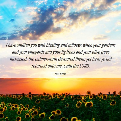 Picture 06 - Amos 4:9 KJV - I have smitten you with blasting and mildew: when - Bible Verse Picture