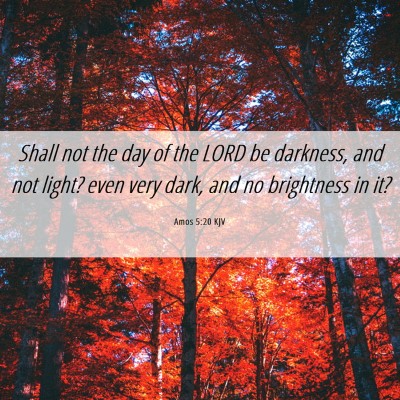 Picture 06 - Amos 5:20 KJV - Shall not the day of the LORD be darkness, and - Bible Verse Picture