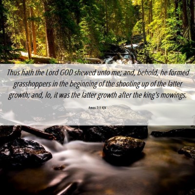 Picture 06 - Amos 7:1 KJV - Thus hath the Lord GOD shewed unto me; and, - Bible Verse Picture