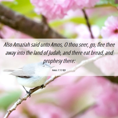 Picture 06 - Amos 7:12 KJV - Also Amaziah said unto Amos, O thou seer, go, - Bible Verse Picture