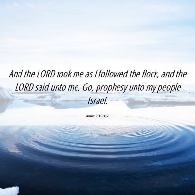 Picture 06 - Amos 7:15 KJV - And the LORD took me as I followed the flock, and - Bible Verse Picture