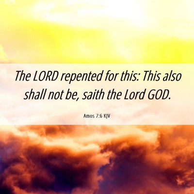 Picture 06 - Amos 7:6 KJV - The LORD repented for this: This also shall not - Bible Verse Picture