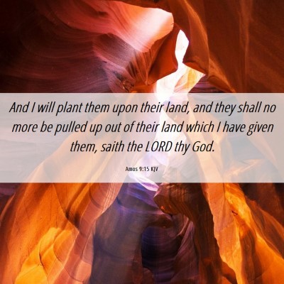 Picture 06 - Amos 9:15 KJV - And I will plant them upon their land, and they - Bible Verse Picture