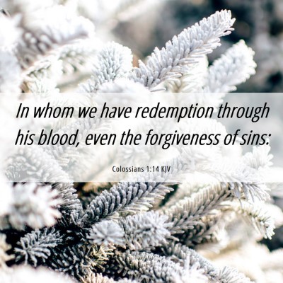Picture 06 - Colossians 1:14 KJV - In whom we have redemption through his blood, - Bible Verse Picture