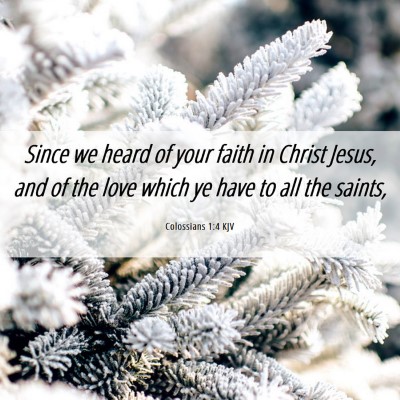 Picture 06 - Colossians 1:4 KJV - Since we heard of your faith in Christ Jesus, and - Bible Verse Picture