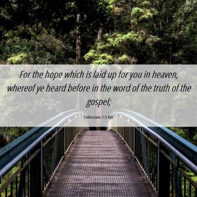 Picture 06 - Colossians 1:5 KJV - For the hope which is laid up for you in heaven, - Bible Verse Picture