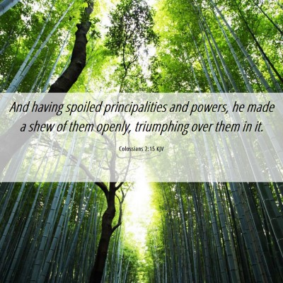 Picture 06 - Colossians 2:15 KJV - And having spoiled principalities and powers, he - Bible Verse Picture