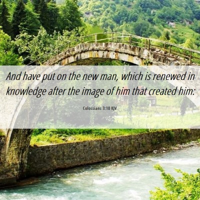 Picture 06 - Colossians 3:10 KJV - And have put on the new man, which is renewed in - Bible Verse Picture