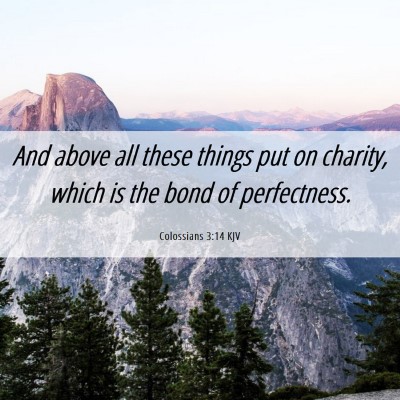 Picture 06 - Colossians 3:14 KJV - And above all these things put on charity, which - Bible Verse Picture