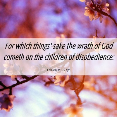 Picture 06 - Colossians 3:6 KJV - For which things' sake the wrath of God cometh on - Bible Verse Picture