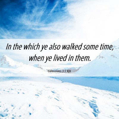 Picture 06 - Colossians 3:7 KJV - In the which ye also walked some time, when ye - Bible Verse Picture
