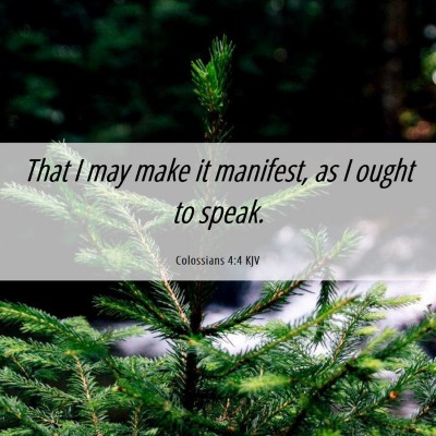 Picture 06 - Colossians 4:4 KJV - That I may make it manifest, as I ought to - Bible Verse Picture