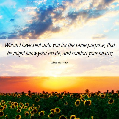 Picture 06 - Colossians 4:8 KJV - Whom I have sent unto you for the same purpose, - Bible Verse Picture