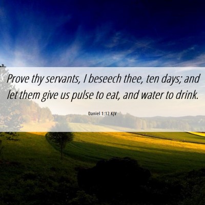 Picture 06 - Daniel 1:12 KJV - Prove thy servants, I beseech thee, ten days; and - Bible Verse Picture