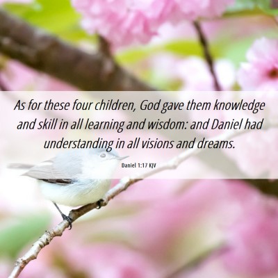 Picture 06 - Daniel 1:17 KJV - As for these four children, God gave them - Bible Verse Picture