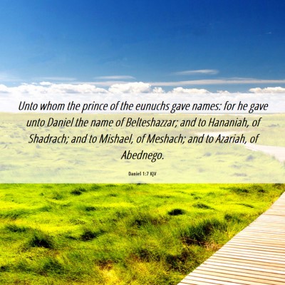 Picture 06 - Daniel 1:7 KJV - Unto whom the prince of the eunuchs gave names: - Bible Verse Picture