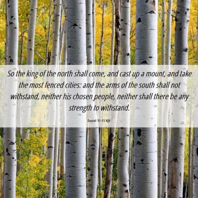 Picture 06 - Daniel 11:15 KJV - So the king of the north shall come, and cast up - Bible Verse Picture