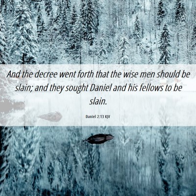 Picture 06 - Daniel 2:13 KJV - And the decree went forth that the wise men - Bible Verse Picture
