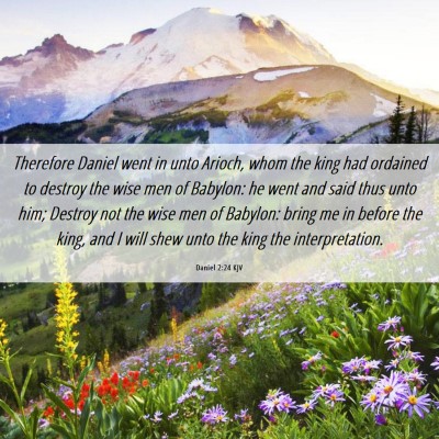 Picture 06 - Daniel 2:24 KJV - Therefore Daniel went in unto Arioch, whom the - Bible Verse Picture