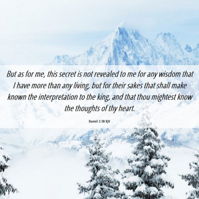 Picture 06 - Daniel 2:30 KJV - But as for me, this secret is not revealed to me - Bible Verse Picture