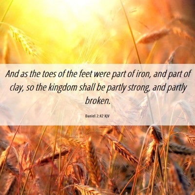 Picture 06 - Daniel 2:42 KJV - And as the toes of the feet were part of iron, - Bible Verse Picture