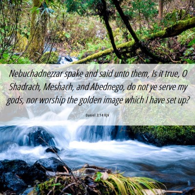 Picture 06 - Daniel 3:14 KJV - Nebuchadnezzar spake and said unto them, Is it - Bible Verse Picture