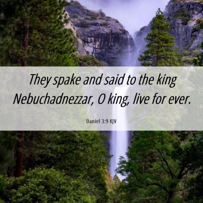 Picture 06 - Daniel 3:9 KJV - They spake and said to the king Nebuchadnezzar, O - Bible Verse Picture