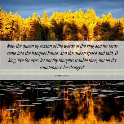 Picture 06 - Daniel 5:10 KJV - Now the queen by reason of the words of the king - Bible Verse Picture