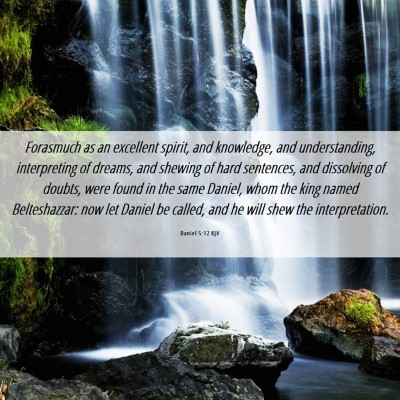 Picture 06 - Daniel 5:12 KJV - Forasmuch as an excellent spirit, and knowledge, - Bible Verse Picture