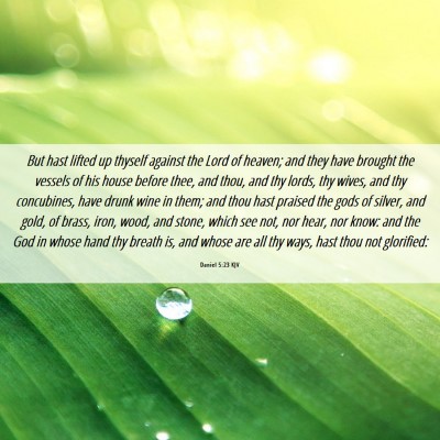 Picture 06 - Daniel 5:23 KJV - But hast lifted up thyself against the Lord of - Bible Verse Picture