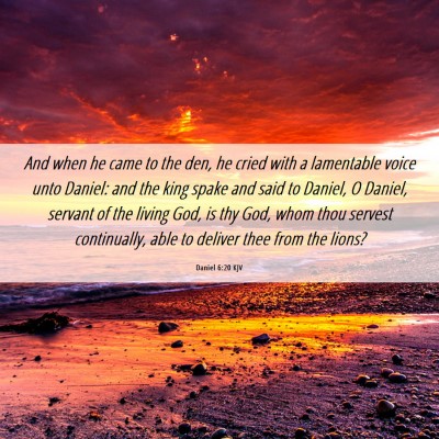 Picture 06 - Daniel 6:20 KJV - And when he came to the den, he cried with a - Bible Verse Picture