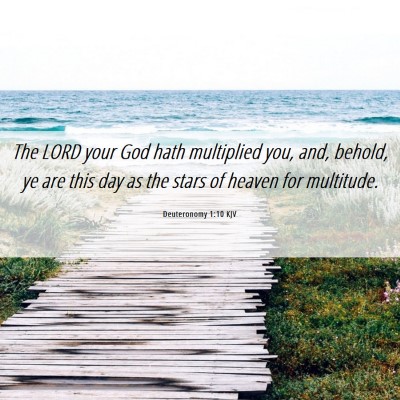 Picture 06 - Deuteronomy 1:10 KJV - The LORD your God hath multiplied you, and, - Bible Verse Picture