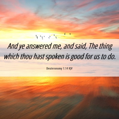 Picture 06 - Deuteronomy 1:14 KJV - And ye answered me, and said, The thing which - Bible Verse Picture