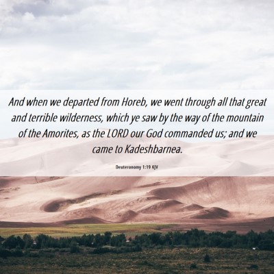 Picture 06 - Deuteronomy 1:19 KJV - And when we departed from Horeb, we went through - Bible Verse Picture