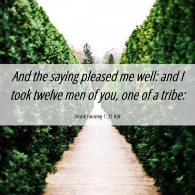 Picture 06 - Deuteronomy 1:23 KJV - And the saying pleased me well: and I took twelve - Bible Verse Picture