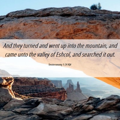 Picture 06 - Deuteronomy 1:24 KJV - And they turned and went up into the mountain, - Bible Verse Picture