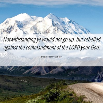 Picture 06 - Deuteronomy 1:26 KJV - Notwithstanding ye would not go up, but rebelled - Bible Verse Picture
