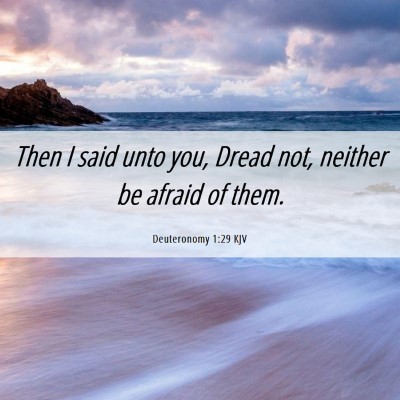 Picture 06 - Deuteronomy 1:29 KJV - Then I said unto you, Dread not, neither be - Bible Verse Picture