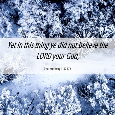 Picture 06 - Deuteronomy 1:32 KJV - Yet in this thing ye did not believe the LORD - Bible Verse Picture