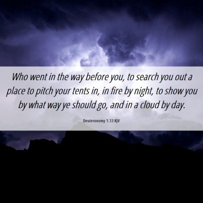 Picture 06 - Deuteronomy 1:33 KJV - Who went in the way before you, to search you out - Bible Verse Picture