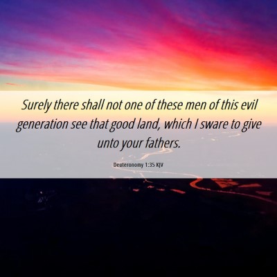 Picture 06 - Deuteronomy 1:35 KJV - Surely there shall not one of these men of this - Bible Verse Picture