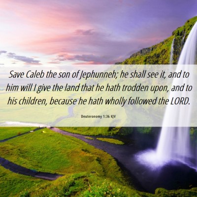 Picture 06 - Deuteronomy 1:36 KJV - Save Caleb the son of Jephunneh; he shall see it, - Bible Verse Picture