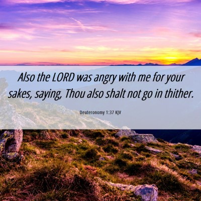 Picture 06 - Deuteronomy 1:37 KJV - Also the LORD was angry with me for your sakes, - Bible Verse Picture