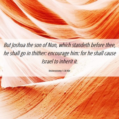 Picture 06 - Deuteronomy 1:38 KJV - But Joshua the son of Nun, which standeth before - Bible Verse Picture