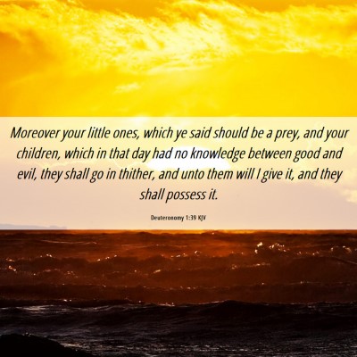 Picture 06 - Deuteronomy 1:39 KJV - Moreover your little ones, which ye said should - Bible Verse Picture