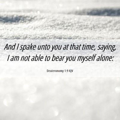 Picture 06 - Deuteronomy 1:9 KJV - And I spake unto you at that time, saying, I am - Bible Verse Picture