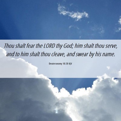 Picture 06 - Deuteronomy 10:20 KJV - Thou shalt fear the LORD thy God; him shalt thou - Bible Verse Picture