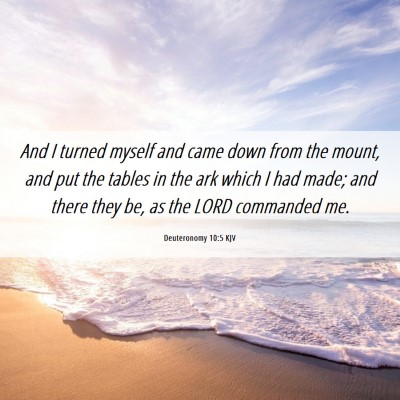 Picture 06 - Deuteronomy 10:5 KJV - And I turned myself and came down from the mount, - Bible Verse Picture