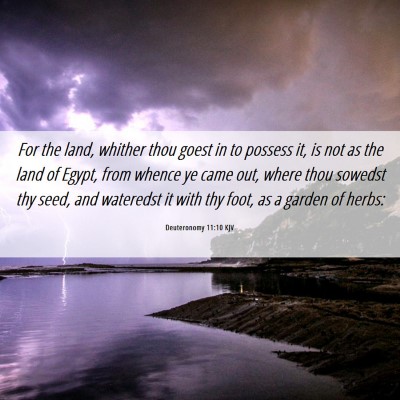Picture 06 - Deuteronomy 11:10 KJV - For the land, whither thou goest in to possess - Bible Verse Picture