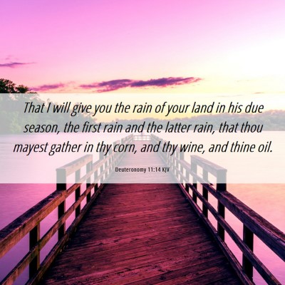 Picture 06 - Deuteronomy 11:14 KJV - That I will give you the rain of your land in his - Bible Verse Picture
